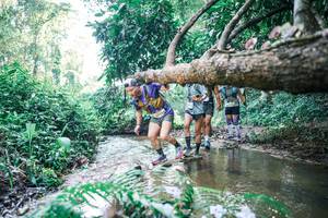 BIB: 
                            <button type="button" onclick="openModal(25445158)" class="btn btn-primary btn-sm float-right btn-popup" data-toggle="modal" data-target=".modal-high-quality">
                        <i class="fas fa-shopping-cart"></i> Add to Cart
                    </button>
                                            <button type="button" onclick="isThisMe(25445158, true)" class="btn btn-success btn-sm float-right btn-popup btn-isme hidden" data-toggle="tooltip" data-placement="bottom" title="นี่คือรูปของคุณใช่ไหม คลิกที่นี่เพื่อเอาเข้าอัลบั้ม">
                        <i class="fas fa-plus"></i> Add to album
                    </button>
                    <button type="button" onclick="isThisMe(25445158, false)" class="btn btn-warning btn-sm float-right btn-popup btn-isnotme hidden">
                        <i class="fas fa-ban"></i> Remove from album
                    </button>